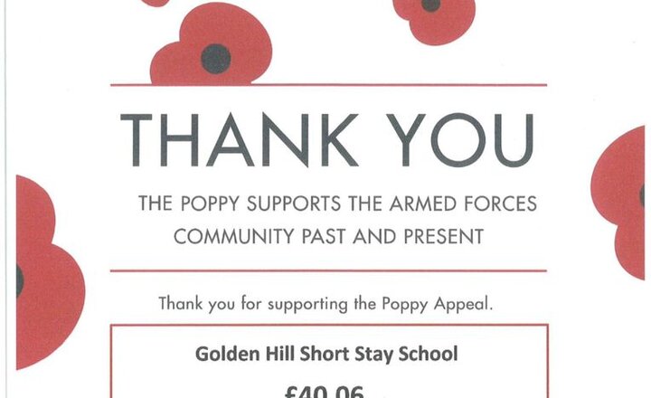 Image of Poppy Appeal 2025