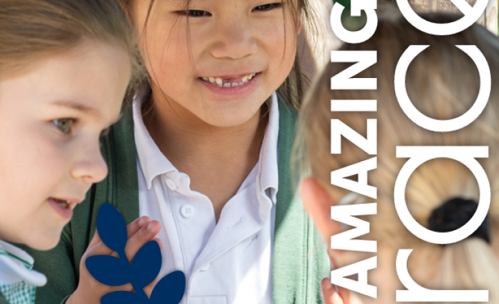 Image of Amazing Grace - July 2026 edition