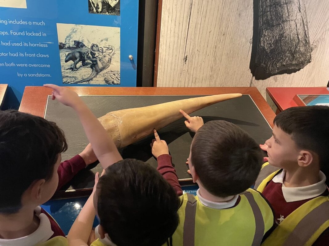 Image of Year 2 Visits The Natural History Museum
