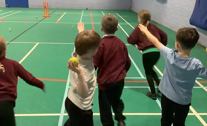 Image of Year 2 Cricket Festival