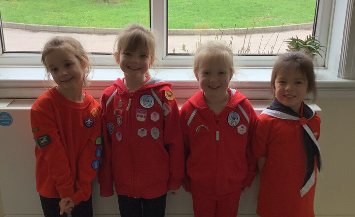 Image of World Thinking Day