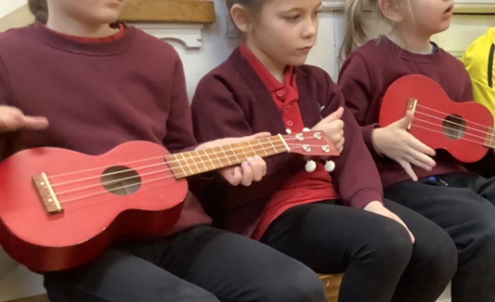 Image of Ukulele Concert