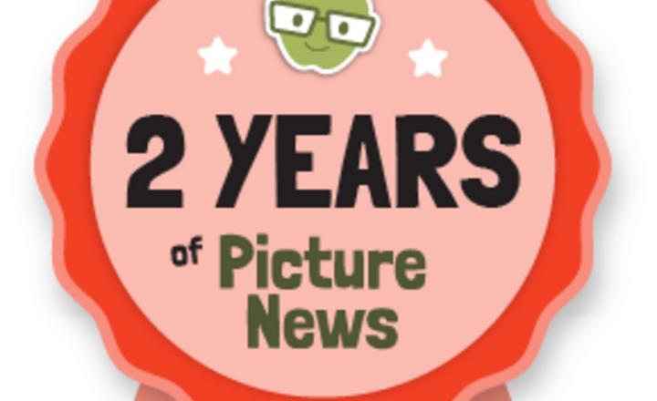 Image of Two Years of Picture News