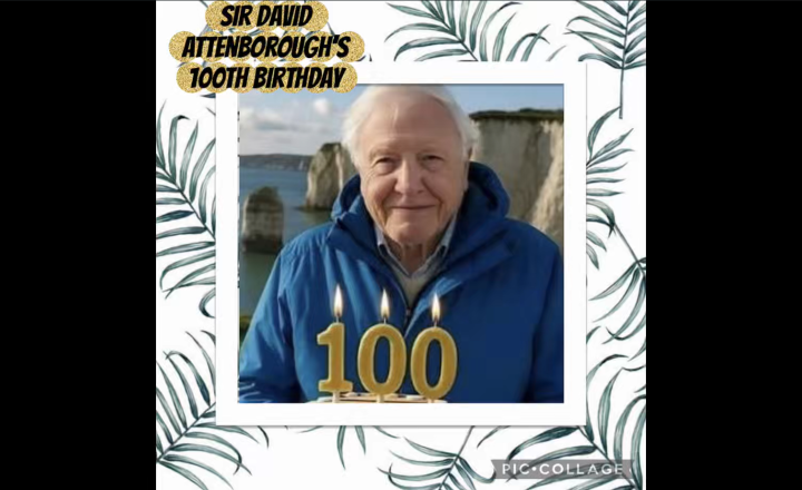 Image of Celebrating Sir David Attenborough's 100th Birthday