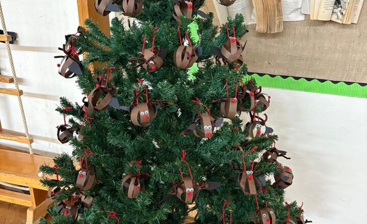 Image of Christmas Tree Festival 