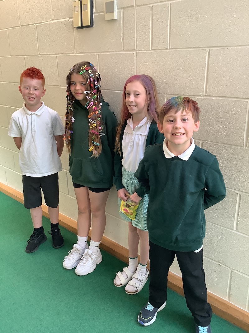 Image of Crazy Hair Day
