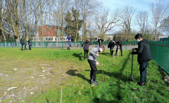 Image of Tree Planting Community Project