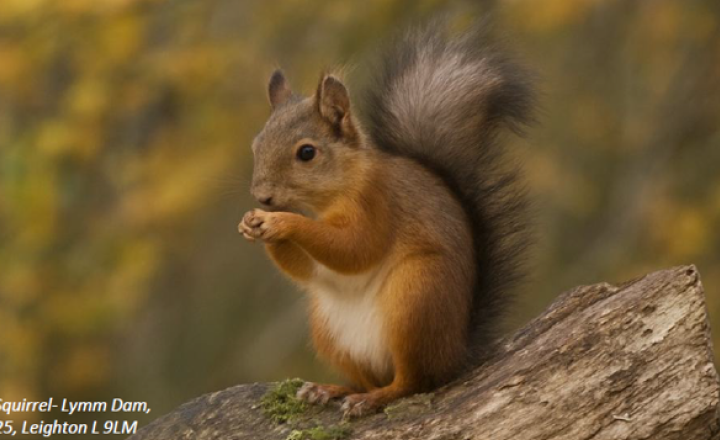 Image of Wildlife Photography Competition Celebrates Sir David Attenborough’s 100th Birthday