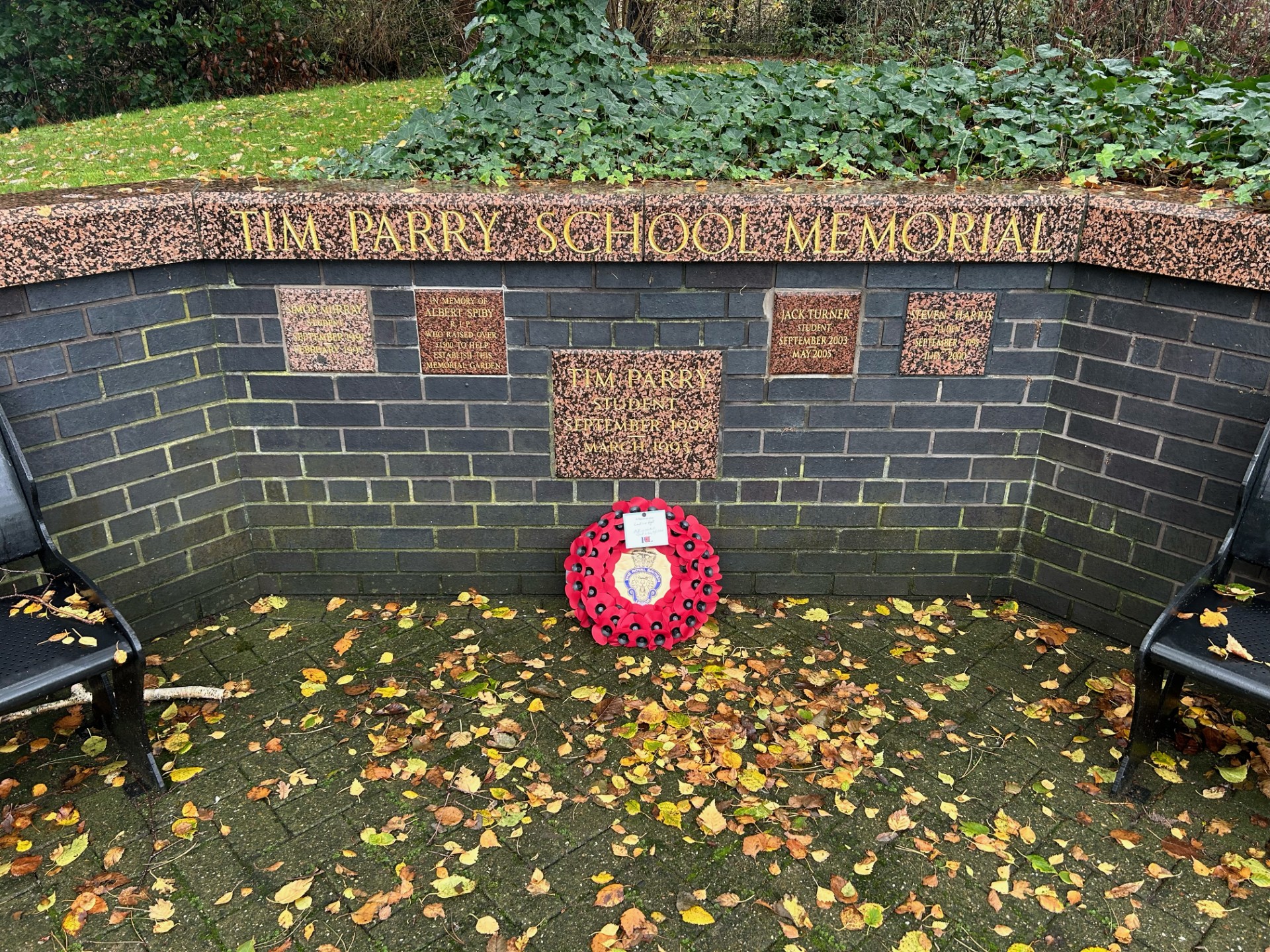 Image of We Will Remember Them