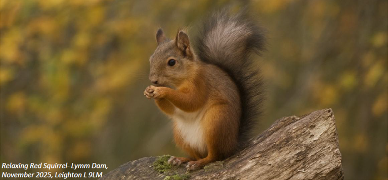 Image of Wildlife Photography Competition Celebrates Sir David Attenborough’s 100th Birthday