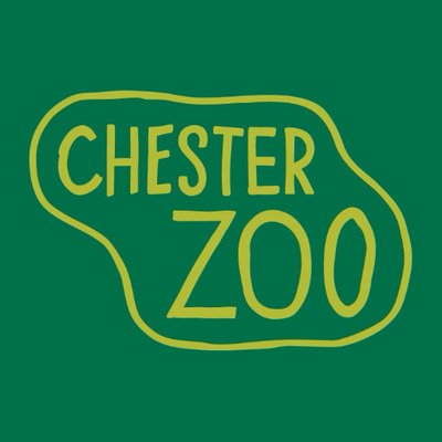 Image of Year 3 Chester Zoo Trip 