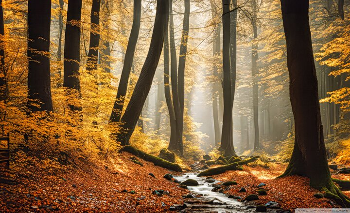 Image of Autumn 2025 Issue 1