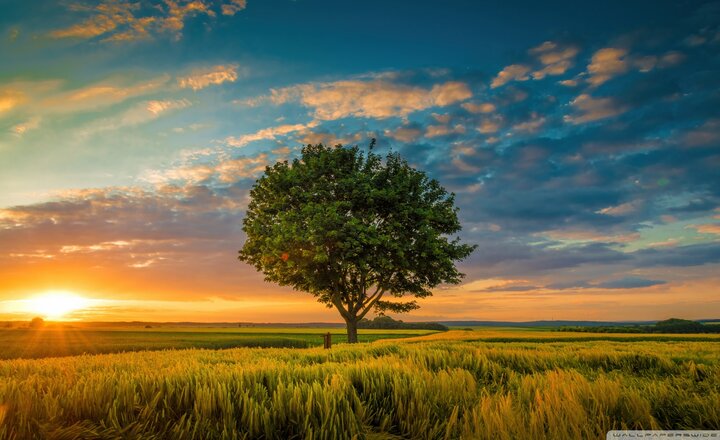 Image of Spring 1  2026  Issue 1.