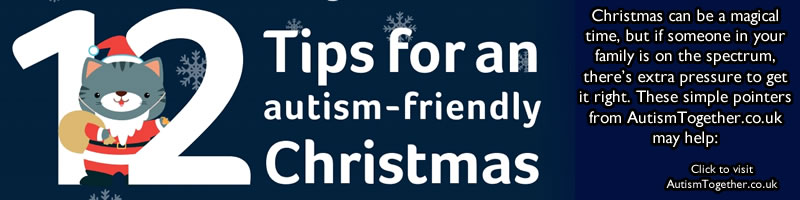 Image of An Autism Friendly Christmas