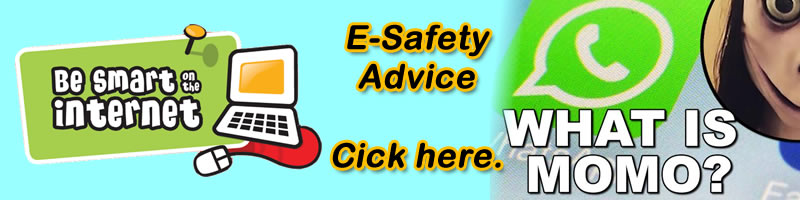 Image of E-Safety Advice - Momo