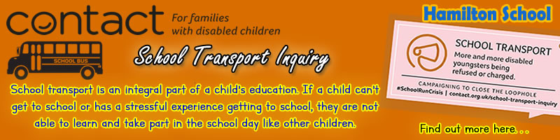 Image of School Transport Inquiry