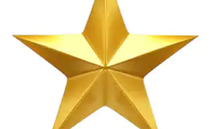 Image of !! Christmas Fayre ..... £1408.36  Raised!!