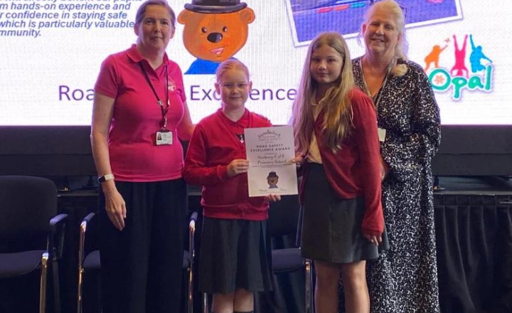 Image of Safe and Active Awards- Gold standard plus an award for enthusiasm!