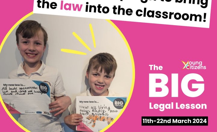 Image of The Big Legal Lesson