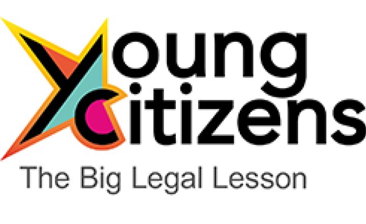 Image of The Big Legal Lesson