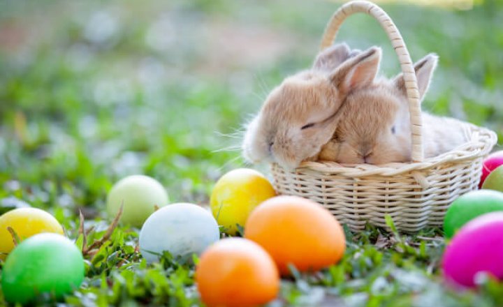 Image of Easter Holiday - School Closed