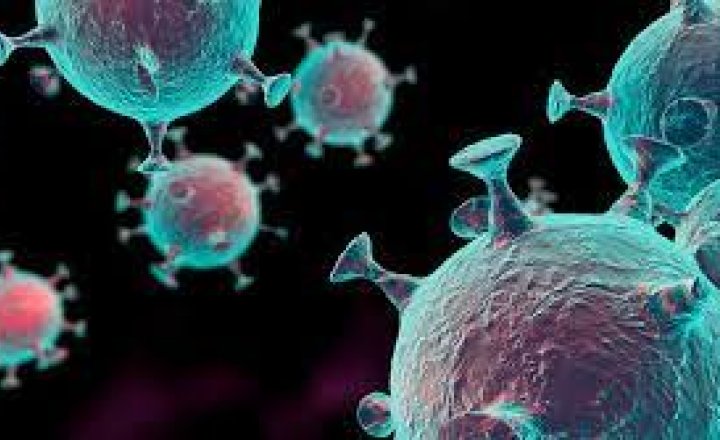 Image of Flu Vaccinations