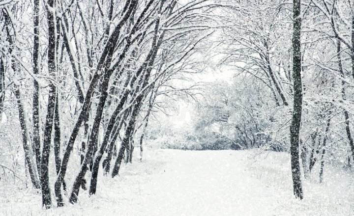 Image of School Closed - Christmas Holidays