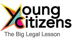 Image of The Big Legal Lesson
