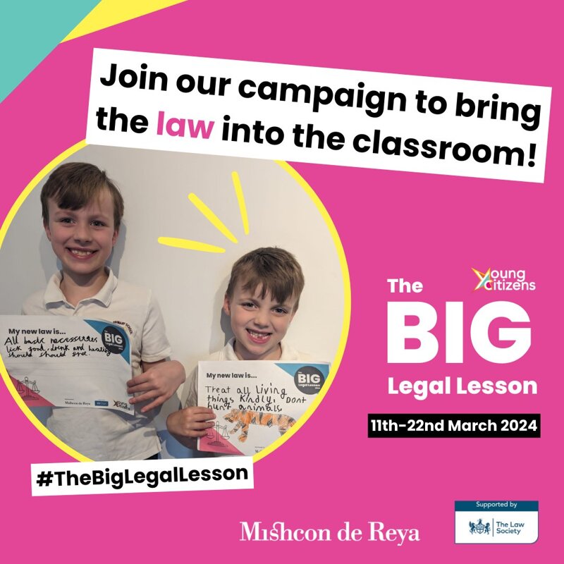 Image of The Big Legal Lesson