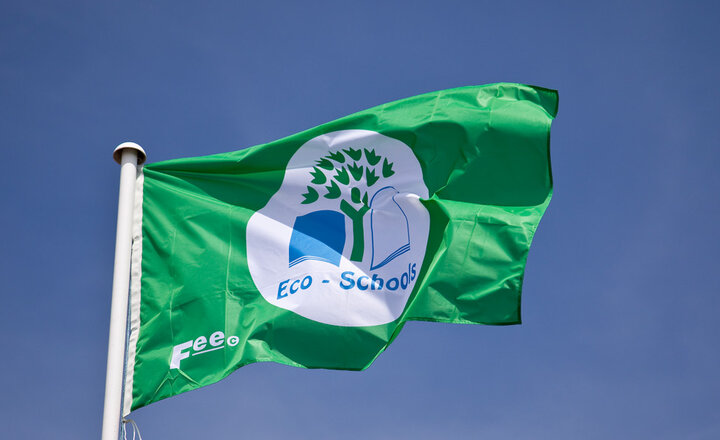 Image of Hardwick Green earns Eco Schools Green Flag Award