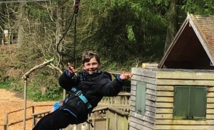 Image of Year 3 and 4 Visit Go Ape