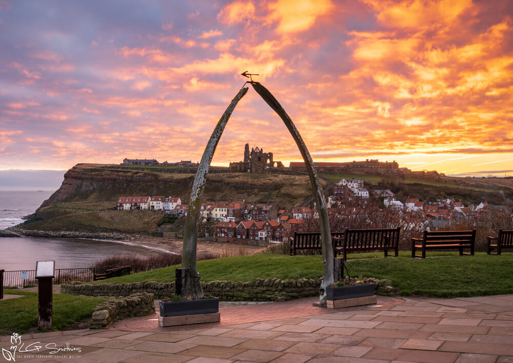 Image of Year 3  Ginsburg Class - Residential to Whitby