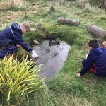 Forest School