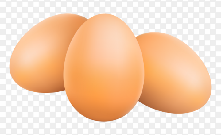 Image of Egg-tastic Foundation