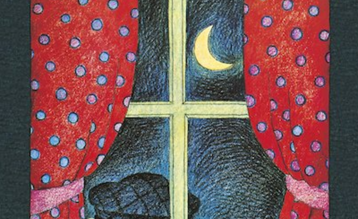 Image of Burglar Bill