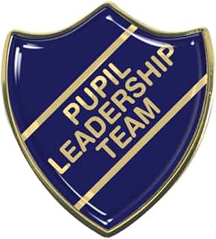 Image of Pupil Leader Programme