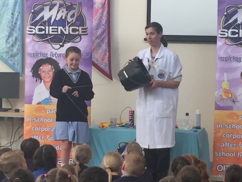 Image of MAD Science