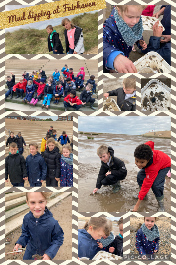 Image of Mud Dipping at Fairhaven