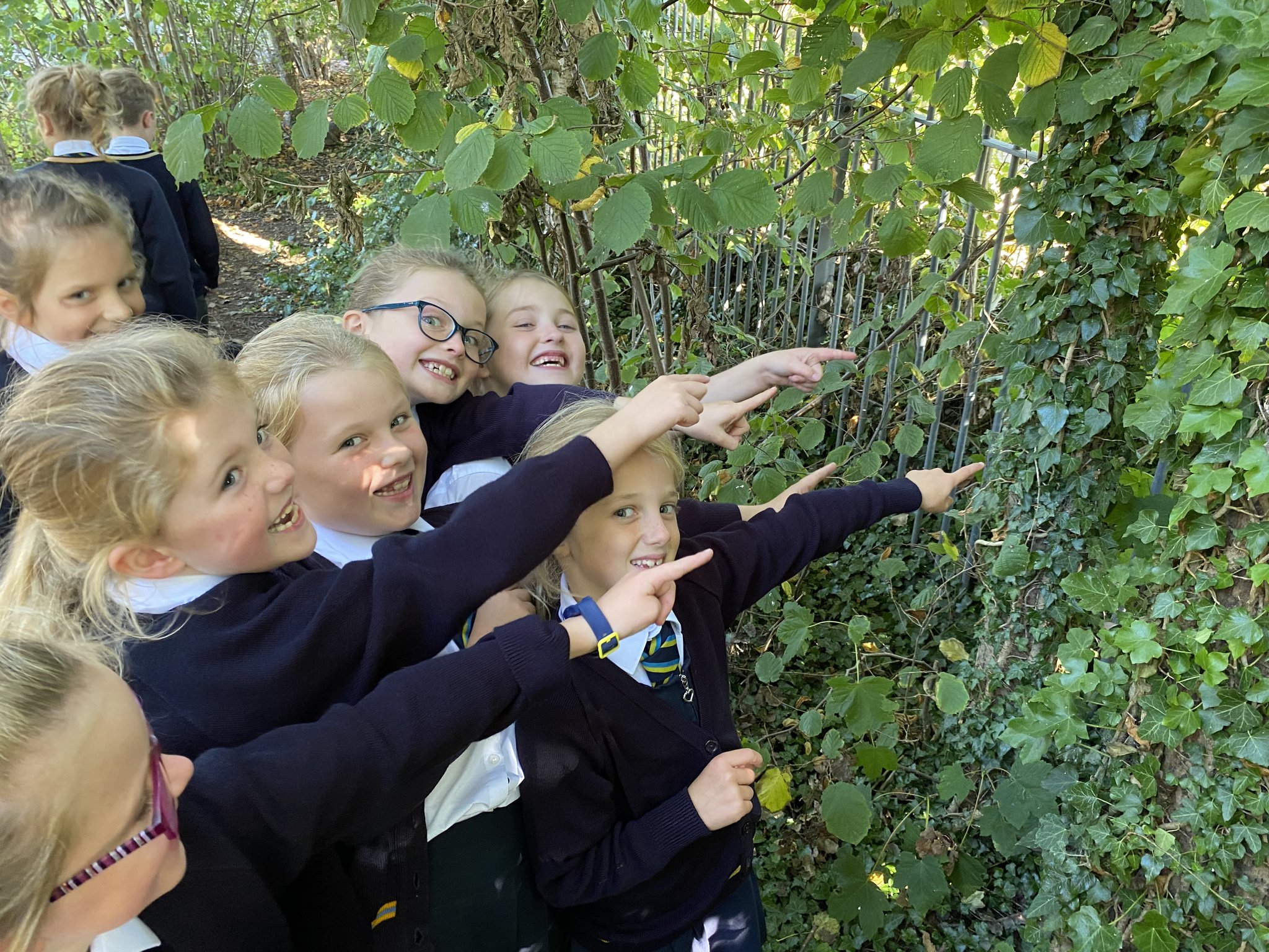 Image of Spider season in Beech class 