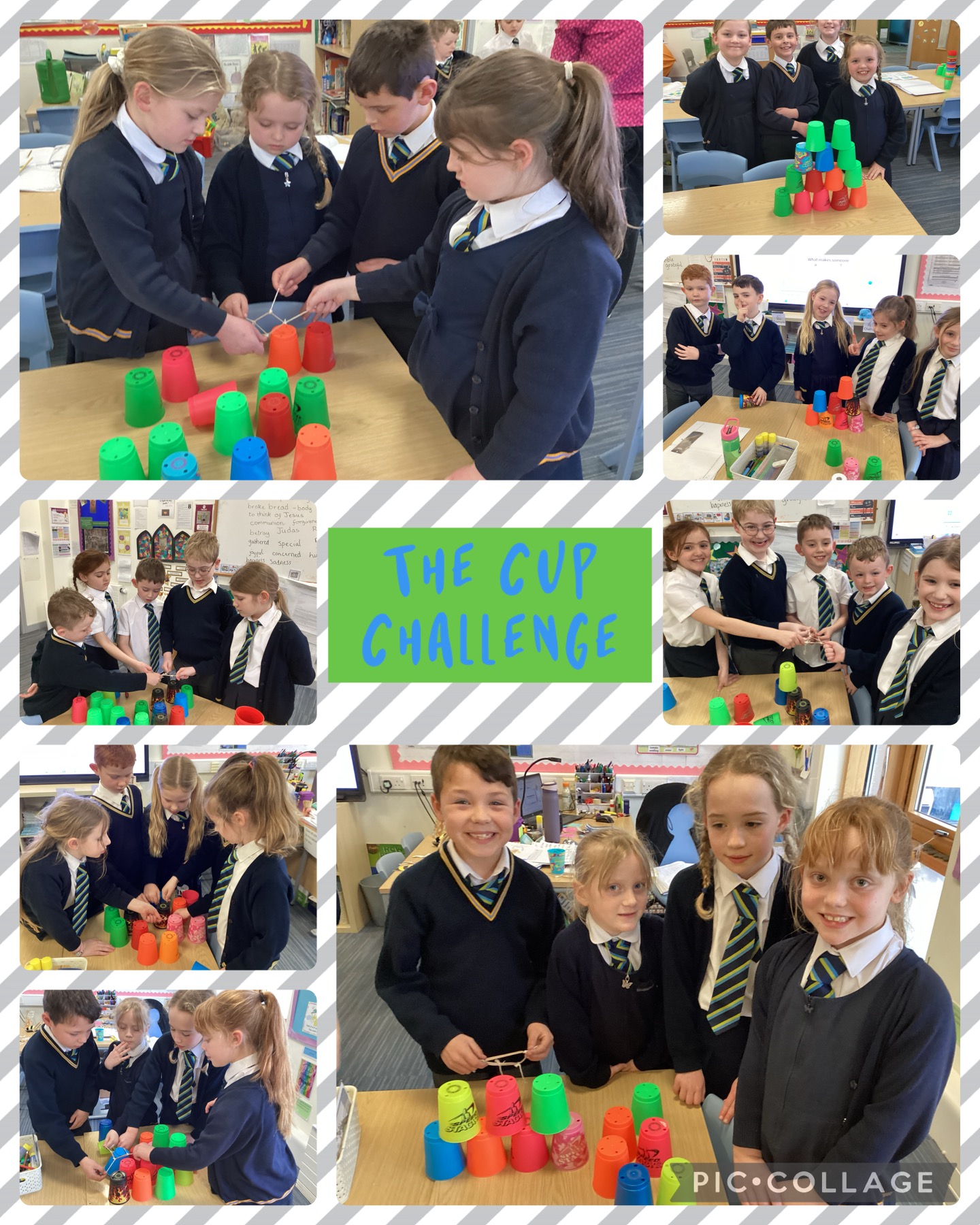 Image of The Cup Challenge Elm