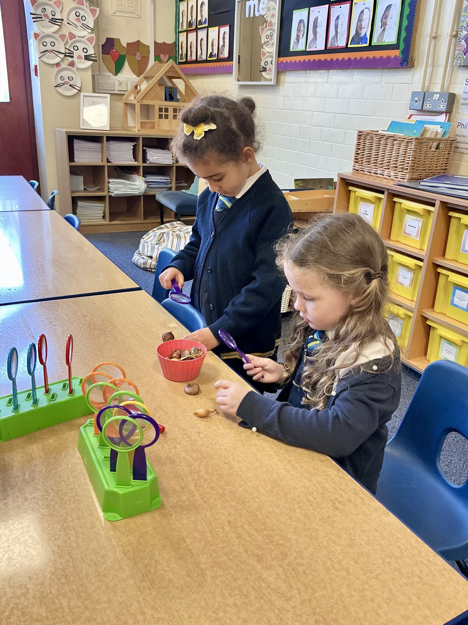 Image of Common garden and wild plants