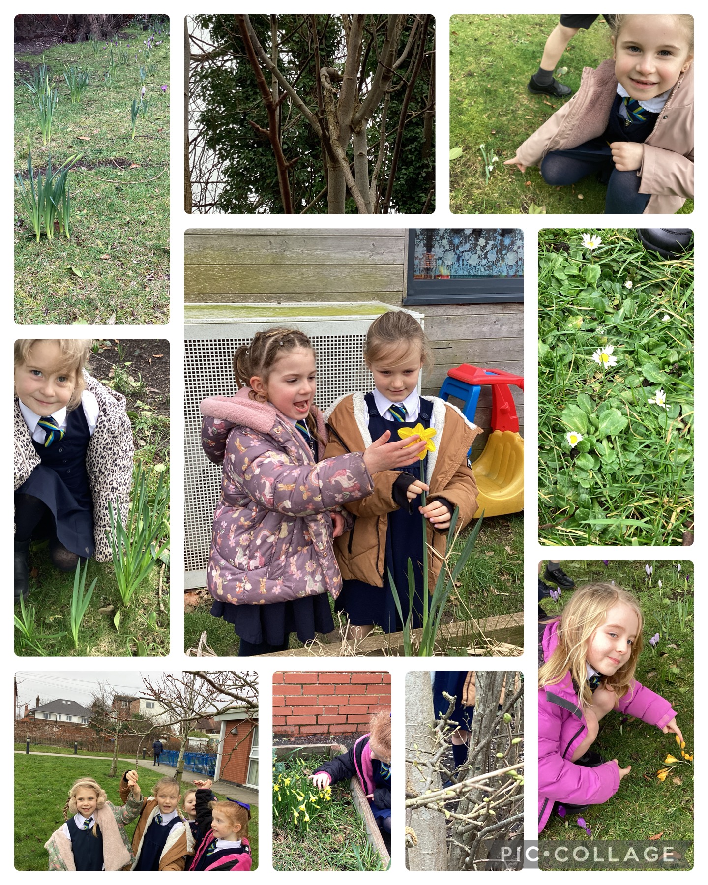 Image of Spring walk