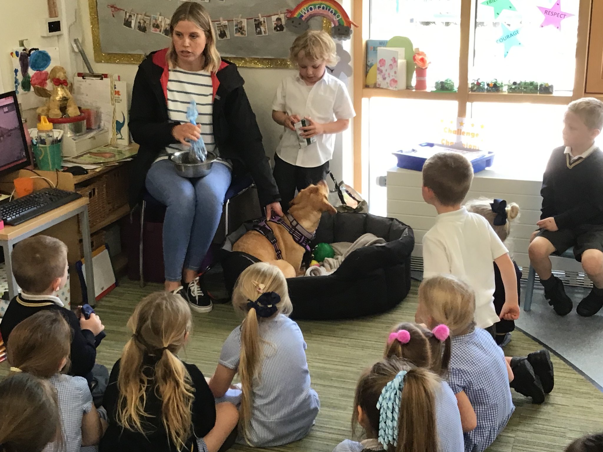 Image of Mabel the dog visits Reception