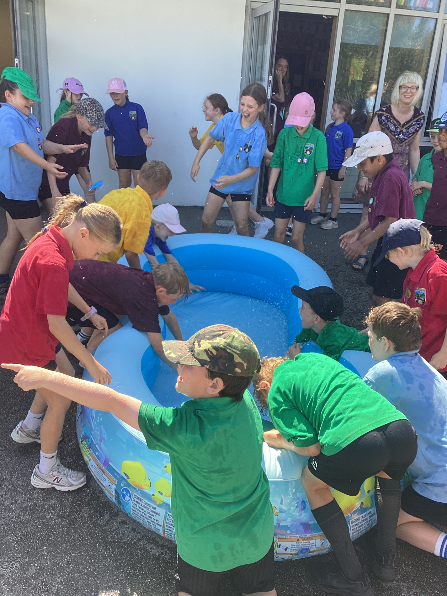 Image of Keeping cool! 