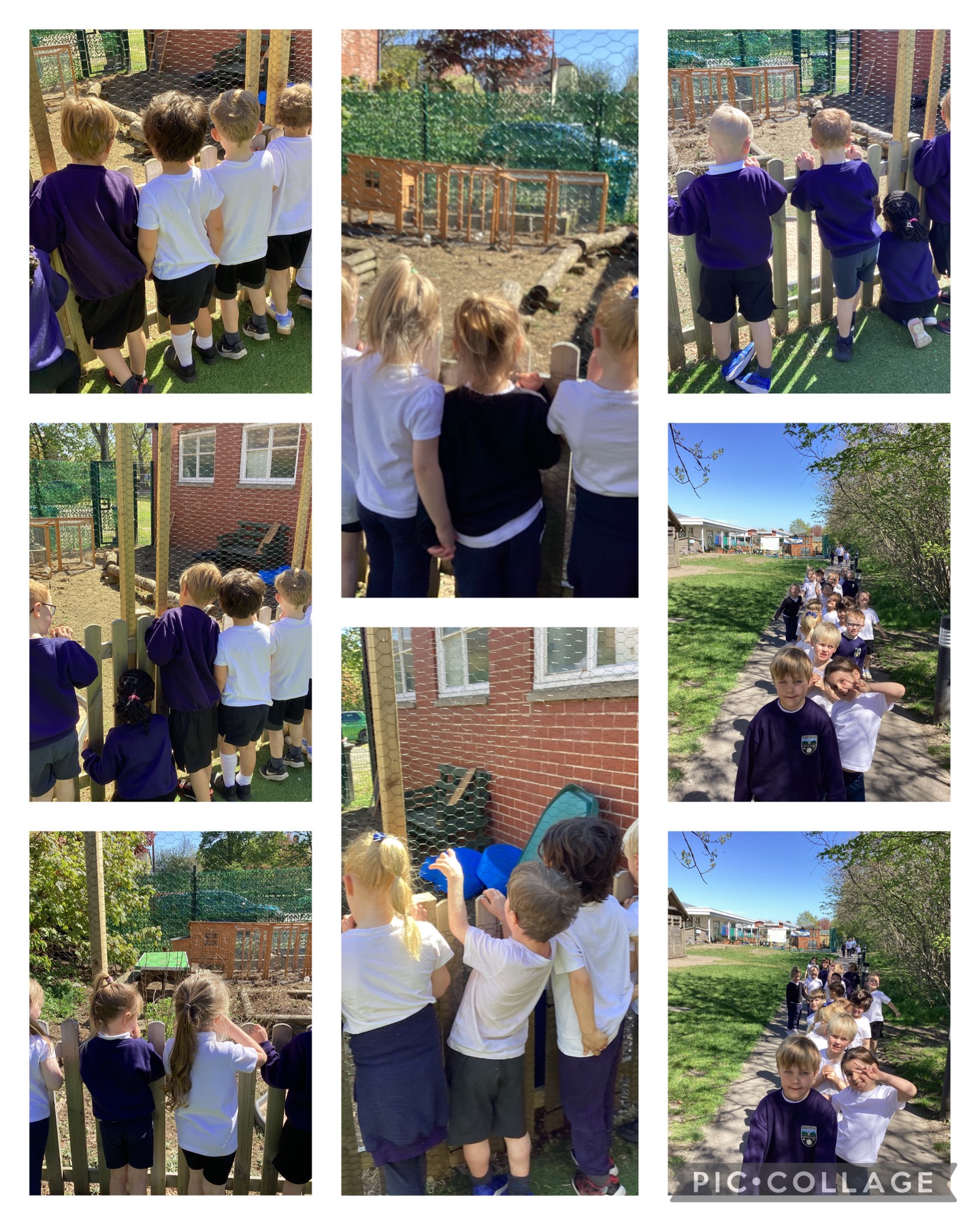 Image of Blossom Year 1 Visit