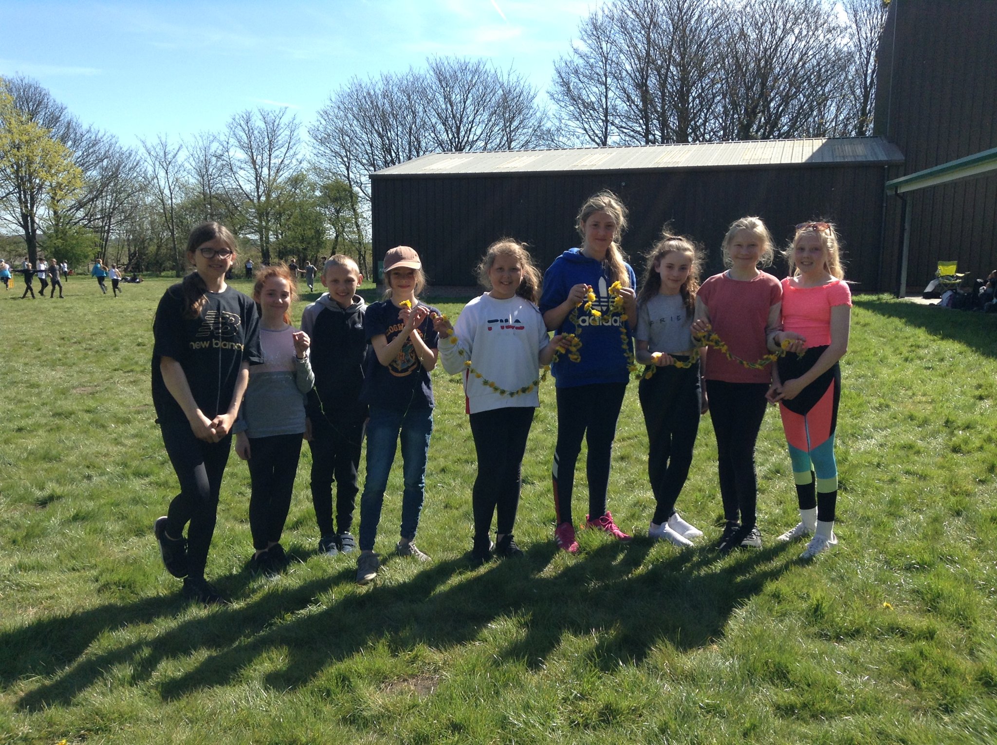 Image of Daisy Chains in the Sun