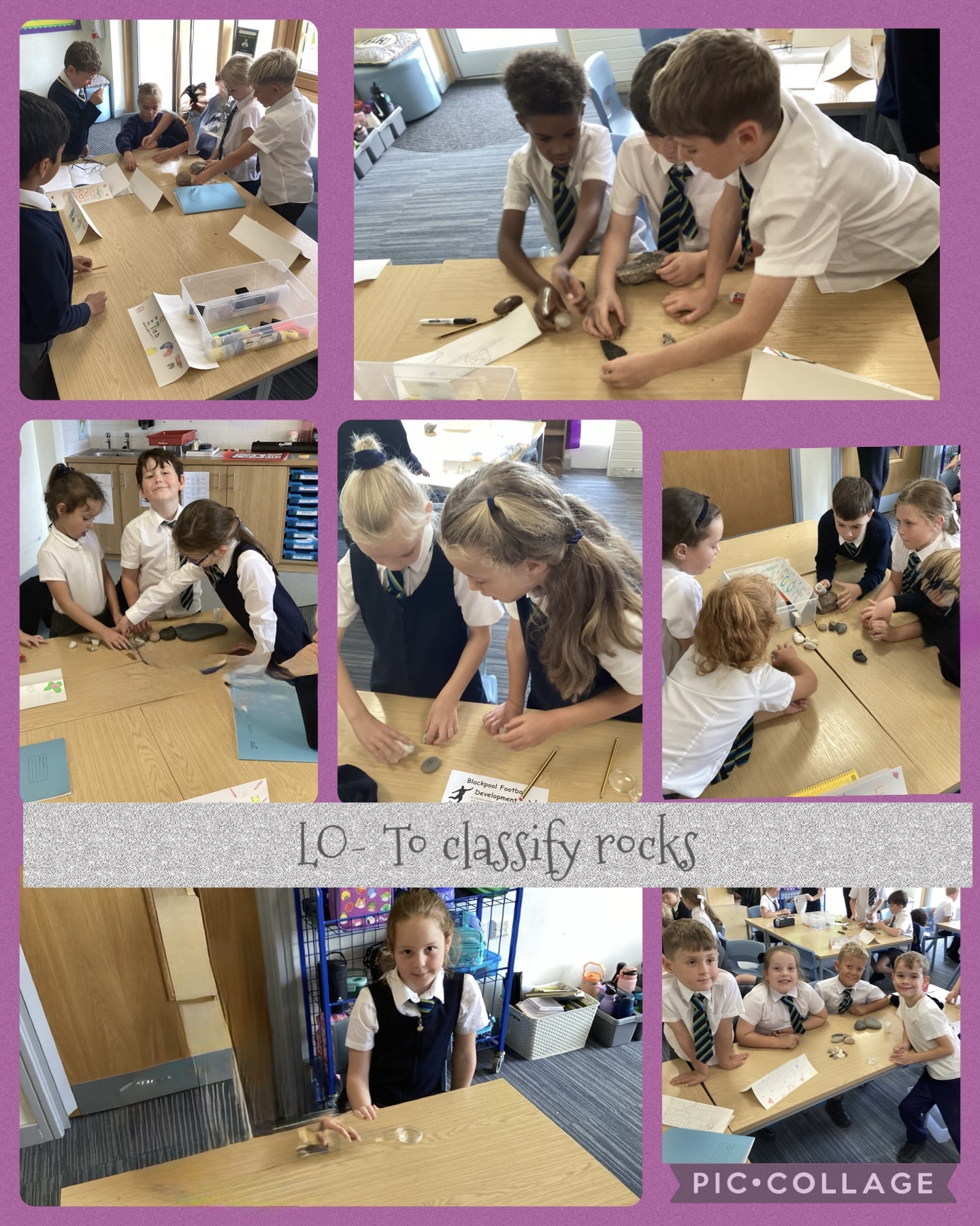 Image of Classifying rocks Beech