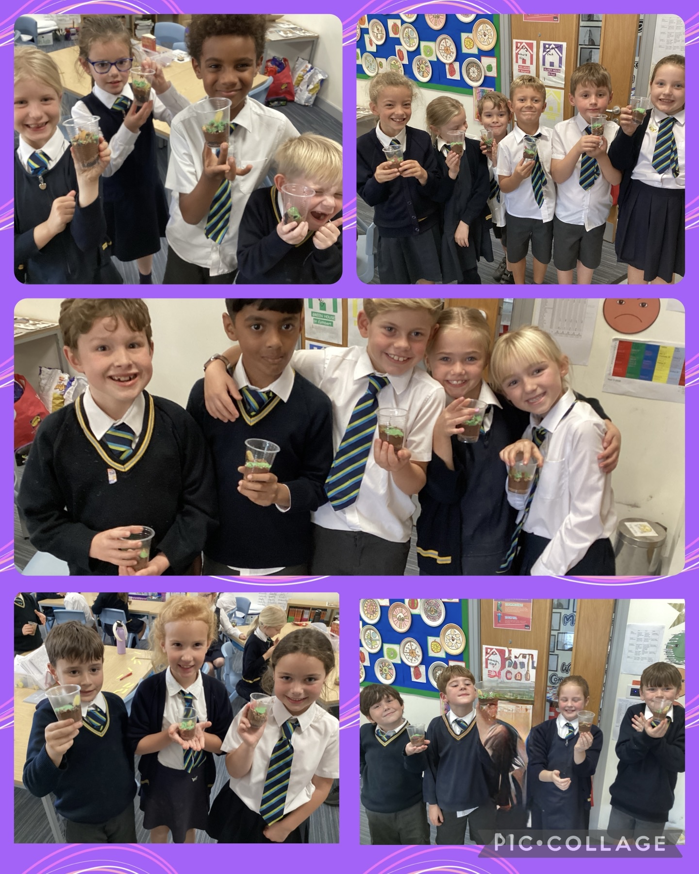 Image of Edible soil pots in Beech