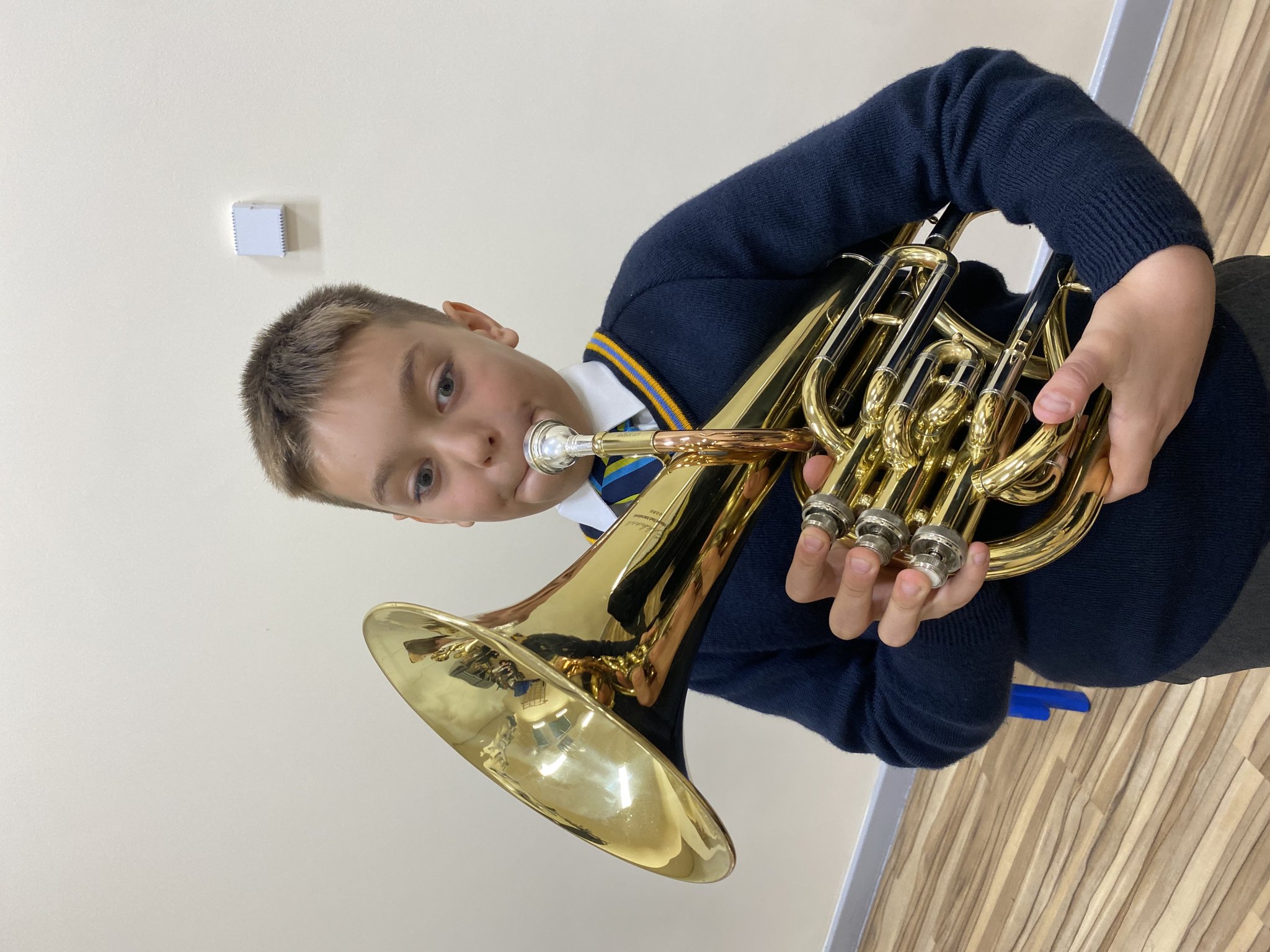 Image of Brass Instrument Performances 