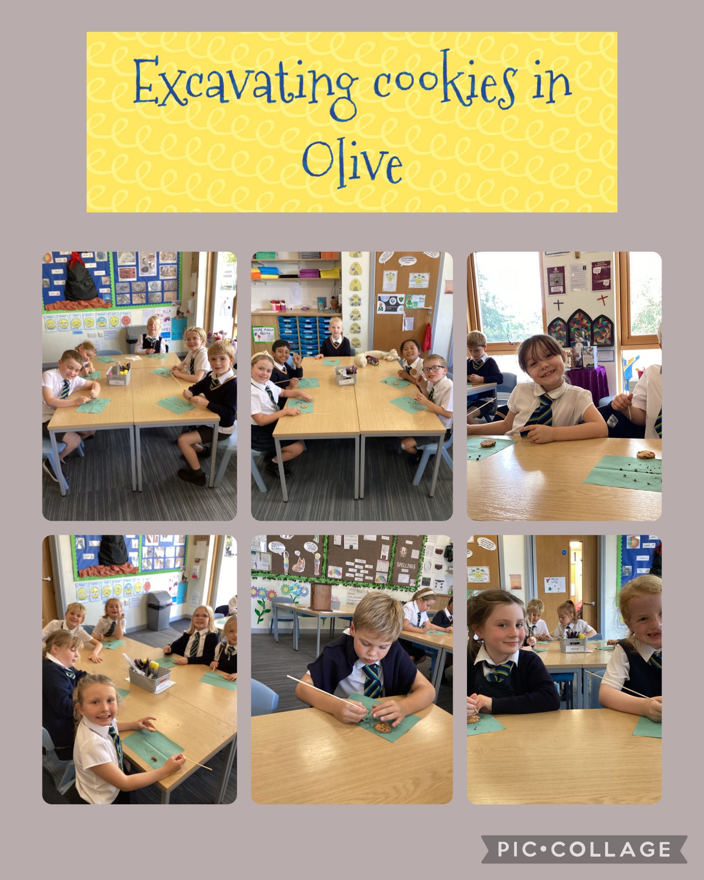 Image of Cookie excavation Olive
